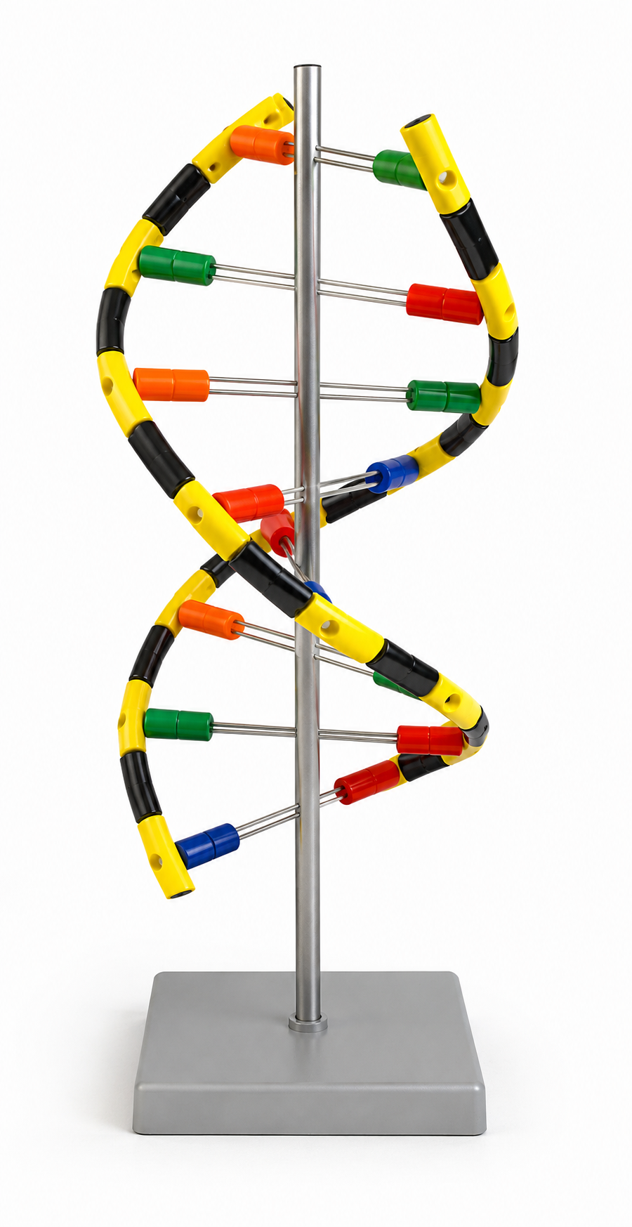 DNA Helical Model